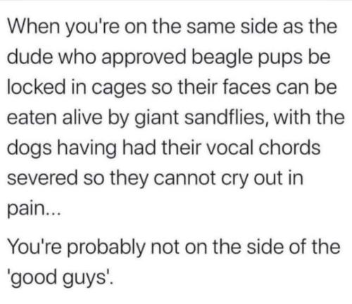 FE9EBF2B-FF12-48D0-8A4C-13C575D9F86C