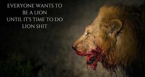 Win-the-fight