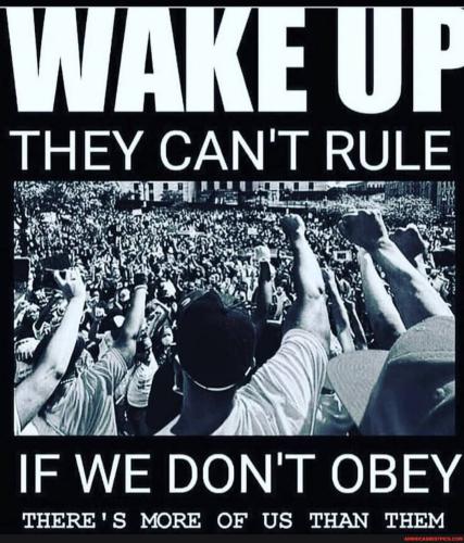 image_1636720926.955