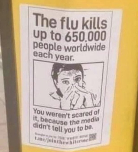 flu