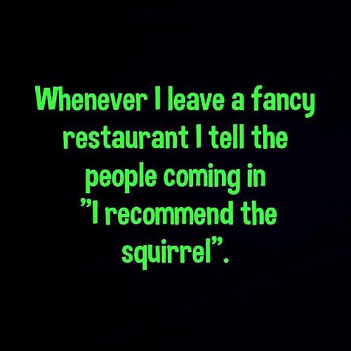 I recommend the squirrel