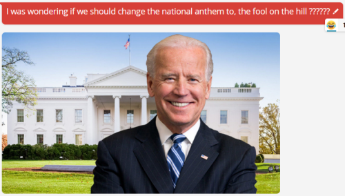 bidenfoolwithcap