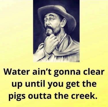 Get the pigs out of the creek