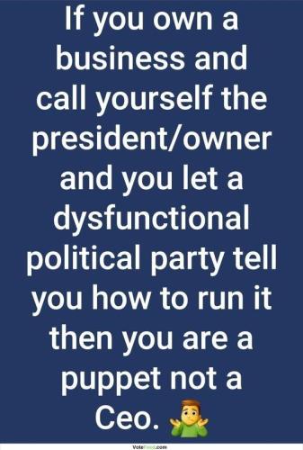 if you own a business sand call yourself the president