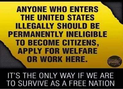 ILLEGALS
