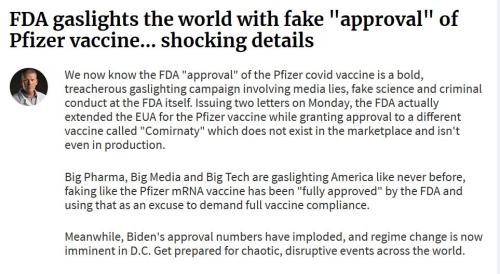 240639798_10224023750595395_5518397451529289146_n