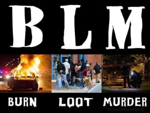 E53C3F02-BDC1-41CA-9654-69CCFE5D94AE