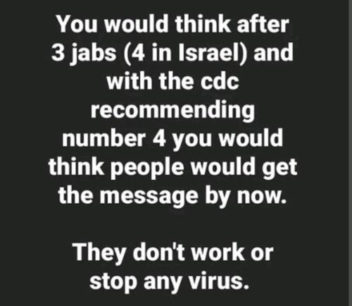 955d2d2c7593c153c371f8_446c7f96_1280