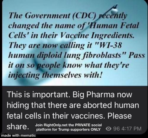 a9430388ed6a8ad4ca37d995aea2dba7_500x0