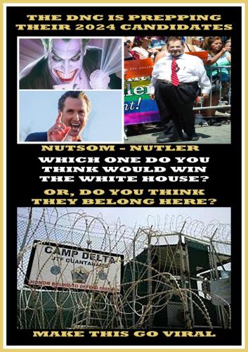 1-1-A-A-A-A-A-A-A-A-NEWSON-NADLER-FOR-POTUS-FINAL