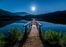 D706EA0D-F5EA-4630-9B08-4A48FC270CD3