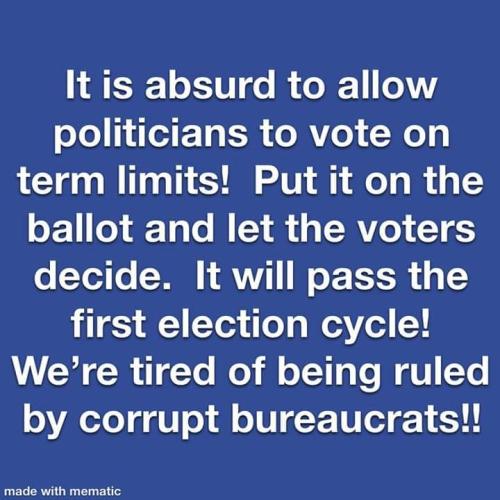 Vote on Term Limits
