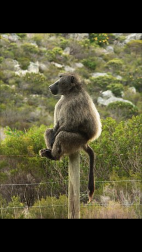 Screenshot_2021-10-01-14-42-40