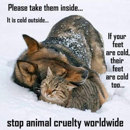 1db786ad-7079-4413-b157-c26f2d21e401d