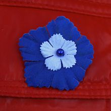 1 Iowa Bleuet_de_France_version_2012