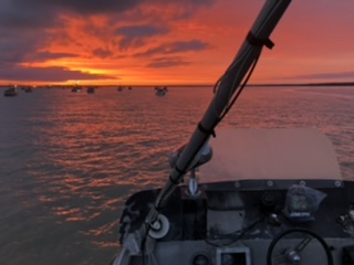 88C27435-363D-478E-A7D9-85D1E4753E06