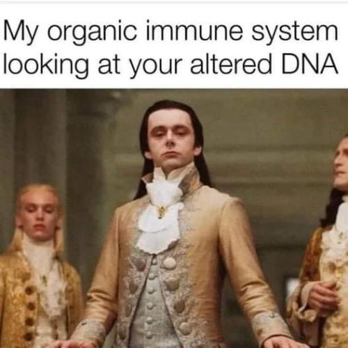 xephula_e4511cde2f413482d0524820d1c2454a