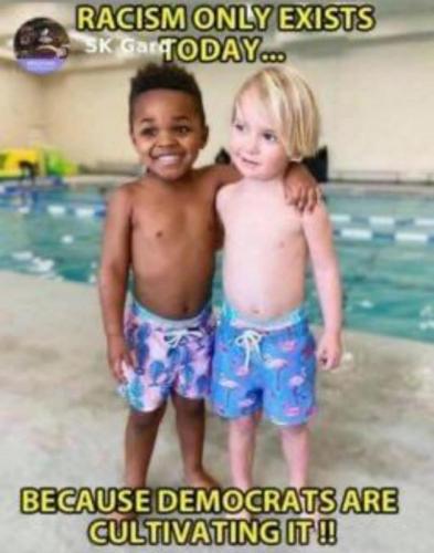 DemocraticRacism