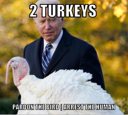 biden2turkeys