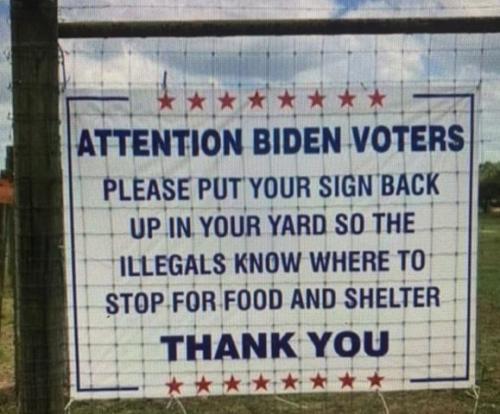 BIDEN copy