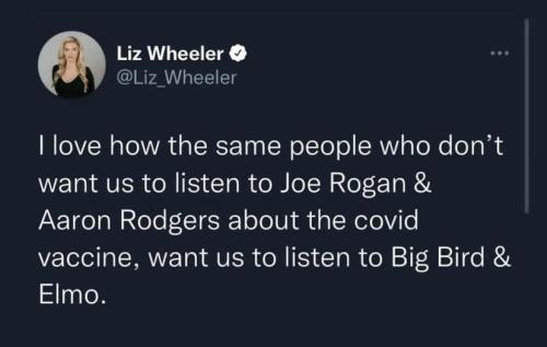 RoganRodgersElmoBigBird1