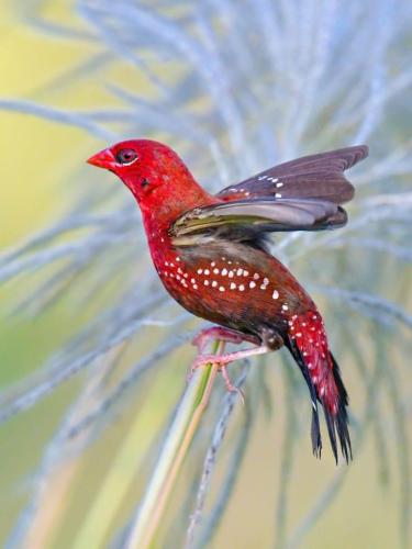 1DBFC883-215C-4A80-834D-E56BB477FB68