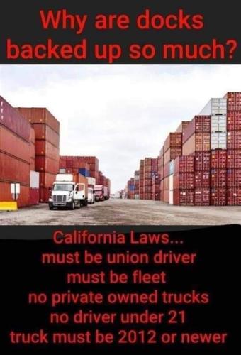 249582040_10158305778772918_5589361895695755327_n