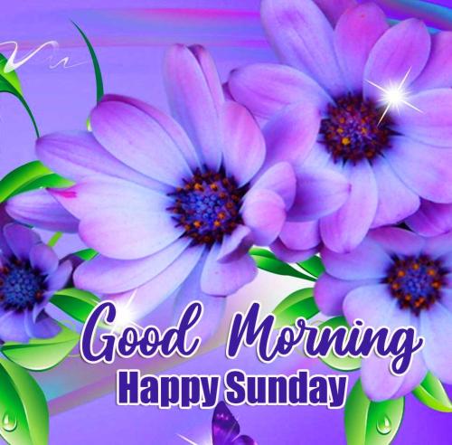 Happy-Sunday-Good-Morning-Wallpaper-1