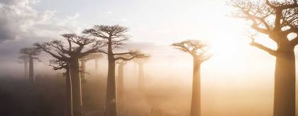 DB5202D4-DE27-47C6-BBDC-630F1D0EE321