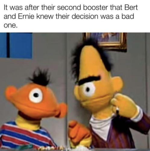 berternie