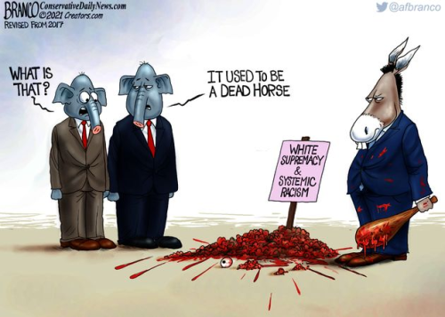 img - 2021-11-13T075956.579