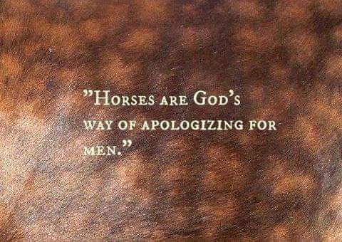 FB_IMG_1637953262672