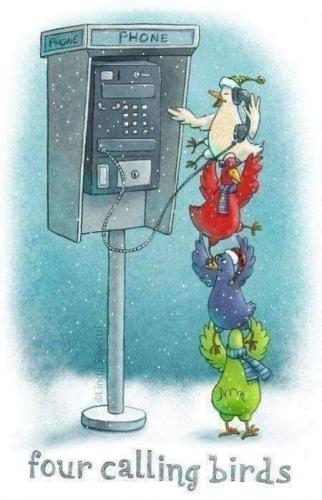 FB_IMG_1608006422666