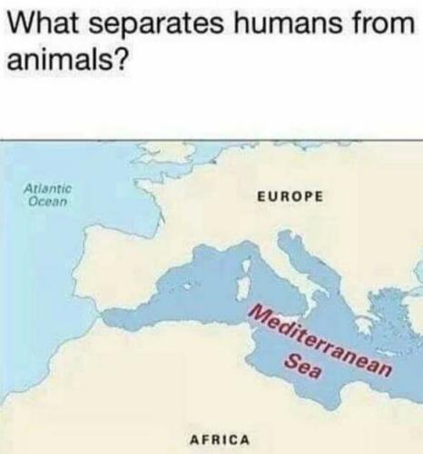 Funny Friday
