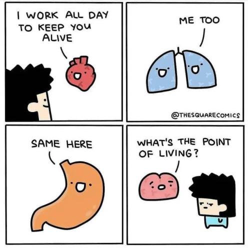 248432698_1501535296900130_8136503511935387902_n