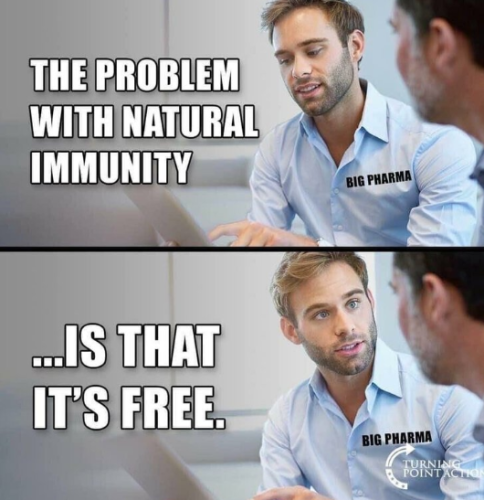 Capture+_2021-11-05-11-29-21(1)