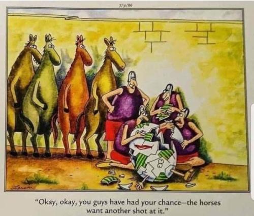 All the Kings Horses