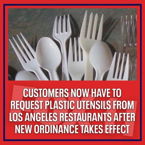 247885209_10166333543550553_4089308433002033876_n