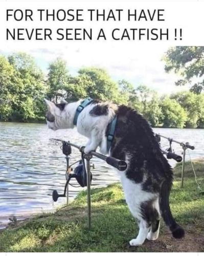 90FE1C8C-9BE7-47E3-8BFB-A36F07E26D02