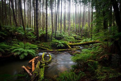 787DC9E9-7D64-4C71-895B-074ACFE2FA6B