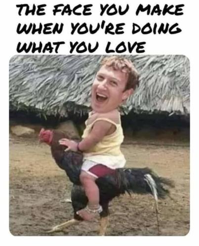 img - 2021-11-25T113317.806