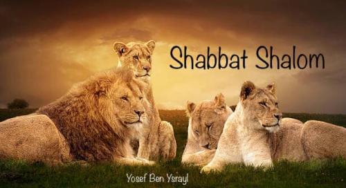 Shabbat 252_n
