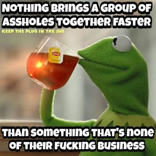 d7afc6b7560c97a2ec48b2686d4ff926_500x0