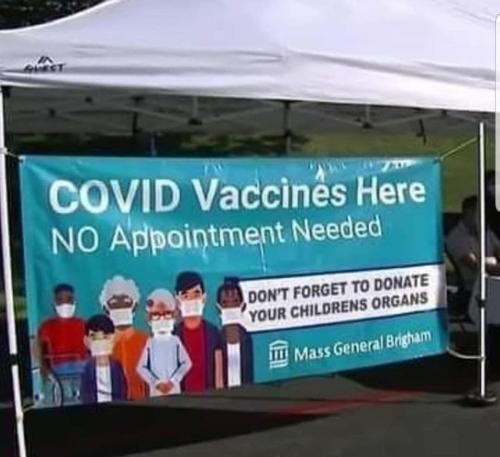 xephula_77065074b822fd94cd34196d6a2dda19