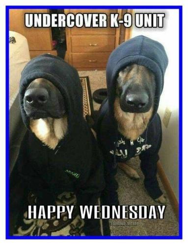 933d596b-7e10-4c83-ac80-8947e3f0db01