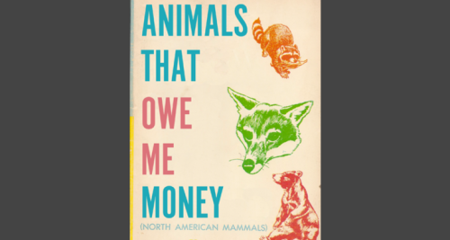 animals that owe me money
