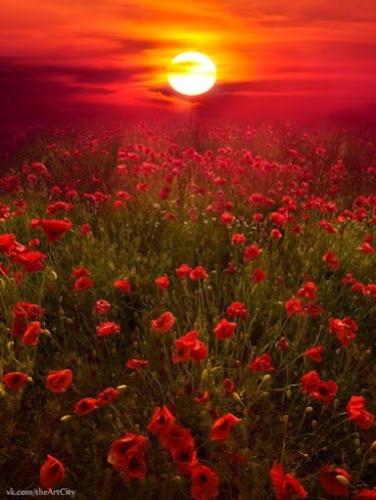 ACA71847-E569-436E-97F6-FF729591E6B8