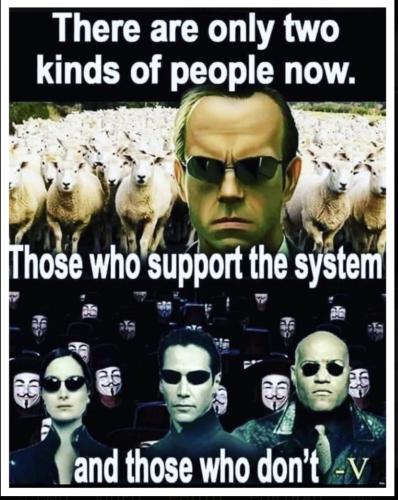 8b14e33dcae21132b6ccb73c14aaf493