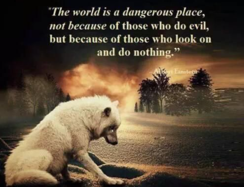 Screenshot_20211111-125628