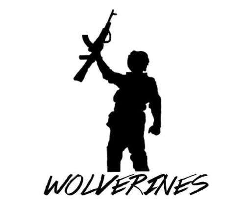 WOLVERINES